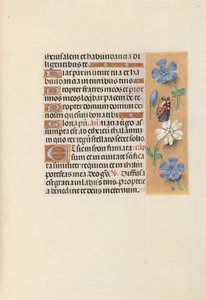 Stundenbuch der Königin Isabella die Katholische, Königin von Spanien: Fol. 134r, um 1500 von Master of the First Prayerbook of Maximillian