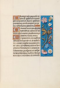 Stundenbuch der Königin Isabella der Katholischen, Königin von Spanien: Fol. 135r, ca. 1500 von Master of the First Prayerbook of Maximillian