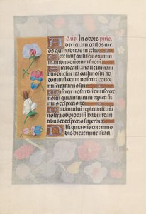 Stundenbuch der Königin Isabella der Katholischen, Königin von Spanien: Fol. 137v, ca. 1500 von Master of the First Prayerbook of Maximillian