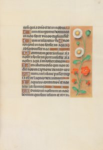 Stundenbuch der Königin Isabella die Katholische, Königin von Spanien: Fol. 138r, ca. 1500 von Master of the First Prayerbook of Maximillian