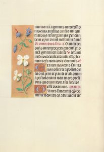 Stundenbuch der Königin Isabella die Katholische, Königin von Spanien: Fol. 139v, ca. 1500