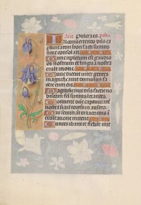 Stundenbuch der Königin Isabella der Katholischen, Königin von Spanien: Fol. 142v von Master of the First Prayerbook of Maximillian
