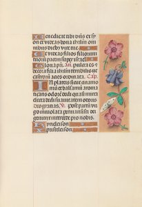 Stundenbuch der Königin Isabella die Katholische, Königin von Spanien: Fol. 144r, ca. 1500 von Master of the First Prayerbook of Maximillian