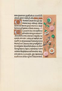 Stundenbuch der Königin Isabella der Katholischen, Königin von Spanien: Fol. 145r, ca. 1500