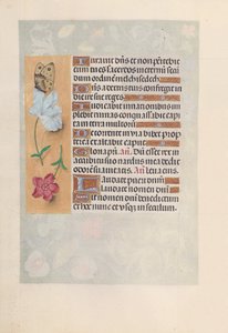 Stundenbuch der Königin Isabella die Katholische, Königin von Spanien: Fol. 147v, um 1500 von Master of the First Prayerbook of Maximillian