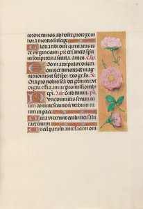 Stundenbuch der Königin Isabella die Katholische, Königin von Spanien: Fol. 157r, ca. 1500 von Master of the First Prayerbook of Maximillian