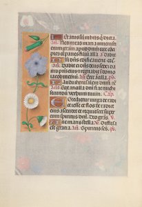 Stundenbuch der Königin Isabella die Katholische, Königin von Spanien: Fol. 160v, ca. 1500 von Master of the First Prayerbook of Maximillian