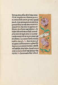 Stundenbuch der Königin Isabella der Katholischen, Königin von Spanien: Fol. 163r, ca. 1500
