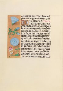 Stundenbuch der Königin Isabella der Katholischen, Königin von Spanien: Fol. 163v, ca. 1500 von Master of the First Prayerbook of Maximillian