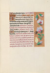 Stundenbuch der Königin Isabella der Katholischen, Königin von Spanien: Fol. 165r