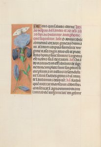 Stundenbuch der Königin Isabella die Katholische, Königin von Spanien: Fol. 165v, um 1500
