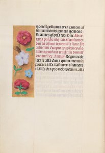 Stundenbuch der Königin Isabella der Katholischen, Königin von Spanien: Fol. 166v, um 1500 von Master of the First Prayerbook of Maximillian