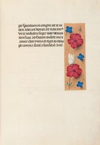 Stundenbuch der Königin Isabella der Katholischen, Königin von Spanien: Fol. 16r von Master of the First Prayerbook of Maximillian
