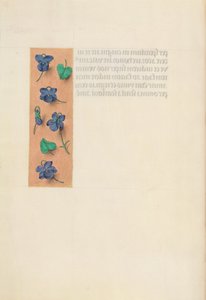 Stundenbuch der Königin Isabella der Katholischen, Königin von Spanien: Fol. 16v, Kurzer Rand, um 1500 von Master of the First Prayerbook of Maximillian
