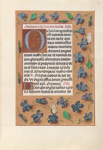 Stundenbuch der Königin Isabella die Katholische, Königin von Spanien: Fol. 182r, ca. 1500 von Master of the First Prayerbook of Maximillian
