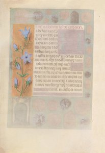 Stundenbuch der Königin Isabella der Katholischen, Königin von Spanien: Fol. 184v, um 1500 von Master of the First Prayerbook of Maximillian