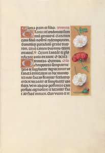 Stundenbuch der Königin Isabella der Katholischen, Königin von Spanien: Fol. 19r, um 1500