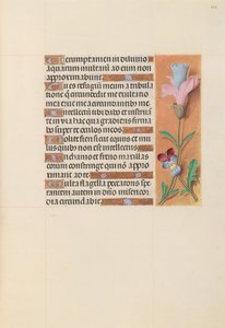 Stundenbuch der Königin Isabella der Katholischen, Königin von Spanien: Fol. 202r, ca. 1500 von Master of the First Prayerbook of Maximillian