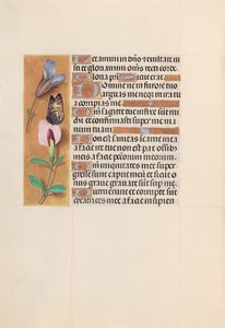 Stunden der Königin Isabella der Katholischen, Königin von Spanien: Fol. 202v