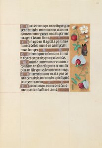 Stundenbuch der Königin Isabella die Katholische, Königin von Spanien: Fol. 204r, ca. 1500