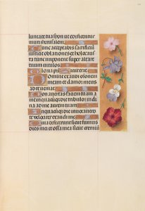 Stundenbuch der Königin Isabella der Katholischen, Königin von Spanien: Fol. 206r, ca. 1500 von Master of the First Prayerbook of Maximillian