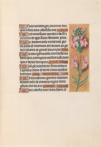 Stundenbuch der Königin Isabella der Katholischen, Königin von Spanien: Fol. 207r, um 1500