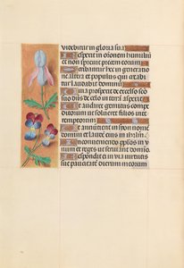 Stunden der Königin Isabella der Katholischen, Königin von Spanien: Fol. 207v, um 1500 von Master of the First Prayerbook of Maximillian
