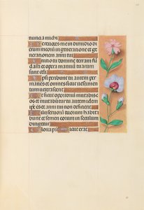 Stundenbuch der Königin Isabella der Katholischen, Königin von Spanien: Fol. 208r