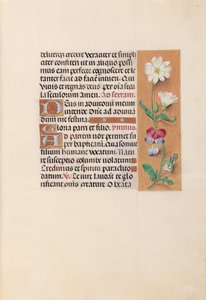 Stundenbuch der Königin Isabella die Katholische, Königin von Spanien: Fol. 20r, um 1500 von Master of the First Prayerbook of Maximillian
