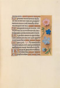 Stundenbuch der Königin Isabella der Katholischen, Königin von Spanien: Fol. 210r, ca. 1500 von Master of the First Prayerbook of Maximillian