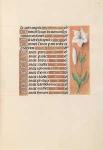 Stundenbuch der Königin Isabella der Katholischen, Königin von Spanien: Fol. 211r, ca. 1500