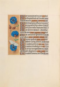 Stundenbuch der Königin Isabella die Katholische, Königin von Spanien: Fol. 213v, um 1500 von Master of the First Prayerbook of Maximillian