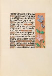 Stundenbuch der Königin Isabella der Katholischen, Königin von Spanien: Fol. 214r, um 1500 von Master of the First Prayerbook of Maximillian