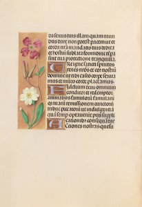 Stundenbuch der Königin Isabella der Katholischen, Königin von Spanien: Fol. 217v, ca. 1500 von Master of the First Prayerbook of Maximillian