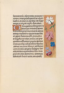 Stunden der Königin Isabella der Katholischen, Königin von Spanien: Fol. 218r, um 1500 von Master of the First Prayerbook of Maximillian