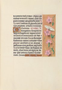Stundenbuch der Königin Isabella der Katholischen, Königin von Spanien: Fol. 21r, ca. 1500 von Master of the First Prayerbook of Maximillian