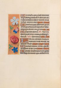 Stundenbuch der Königin Isabella der Katholischen, Königin von Spanien: Fol. 221v von Master of the First Prayerbook of Maximillian
