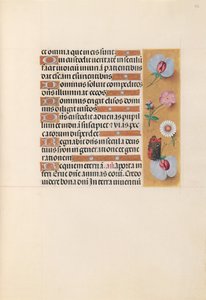 Stundenbuch der Königin Isabella der Katholischen, Königin von Spanien: Fol. 225r, um 1500 von Master of the First Prayerbook of Maximillian