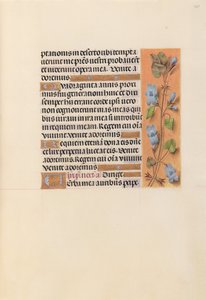 Stundenbuch der Königin Isabella der Katholischen, Königin von Spanien: Fol. 227r, um 1500 von Master of the First Prayerbook of Maximillian