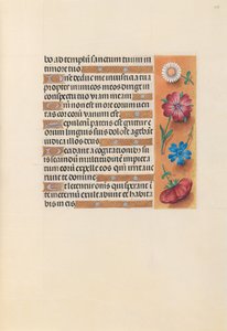 Stundenbuch der Königin Isabella die Katholische, Königin von Spanien: Fol. 228r, ca. 1500 von Master of the First Prayerbook of Maximillian