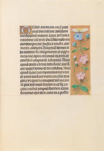 Stundenbuch der Königin Isabella die Katholische, Königin von Spanien: Fol. 232r, ca. 1500 von Master of the First Prayerbook of Maximillian