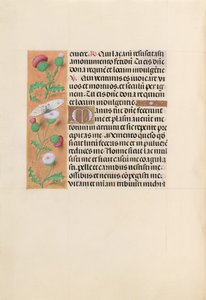 Stundenbuch der Königin Isabella der Katholischen, Königin von Spanien: Fol. 232v, um 1500