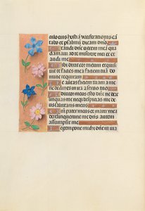 Stundenbuch der Königin Isabella der Katholischen, Königin von Spanien: Fol. 236v, um 1500 von Master of the First Prayerbook of Maximillian