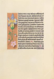 Stundenbuch der Königin Isabella der Katholischen, Königin von Spanien: Fol. 237v, ca. 1500 von Master of the First Prayerbook of Maximillian