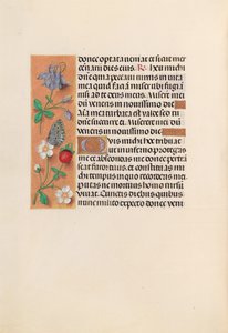 Stundenbuch der Königin Isabella der Katholischen, Königin von Spanien: Fol. 238v, ca. 1500