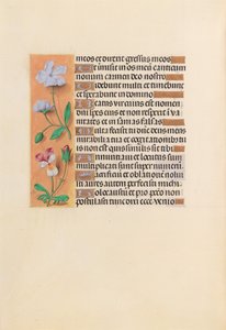 Stundenbuch der Königin Isabella der Katholischen, Königin von Spanien: Fol. 239v, um 1500 von Master of the First Prayerbook of Maximillian