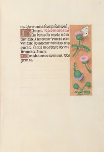 Stundenbuch der Königin Isabella der Katholischen, Königin von Spanien: Fol. 23r von Master of the First Prayerbook of Maximillian