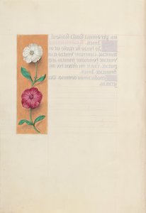 Stundenbuch der Königin Isabella der Katholischen, Königin von Spanien: Fol. 23v von Master of the First Prayerbook of Maximillian