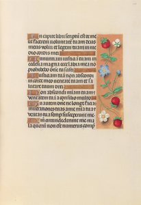 Stundenbuch der Königin Isabella der Katholischen, Königin von Spanien: Fol. 240r