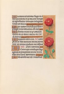 Stundenbuch der Königin Isabella der Katholischen, Königin von Spanien: Fol. 241r, c. 1500 von Master of the First Prayerbook of Maximillian